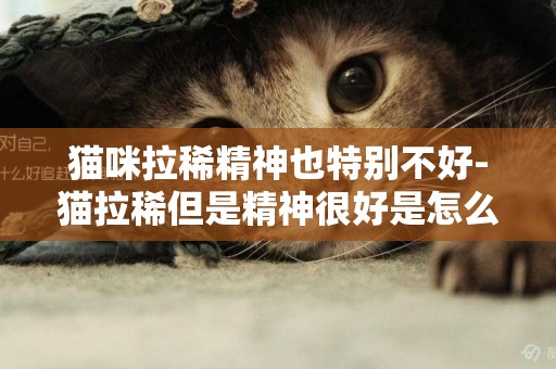 貓咪拉稀精神也特別不好-貓拉稀但是精神很好是怎么回事？
