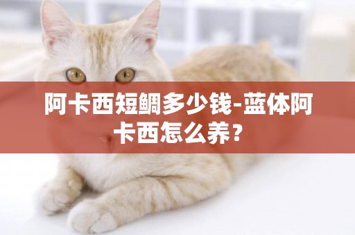 阿卡西短鯛多少錢-藍體阿卡西怎么養？