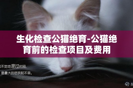 生化檢查公貓絕育-公貓絕育前的檢查項目及費用