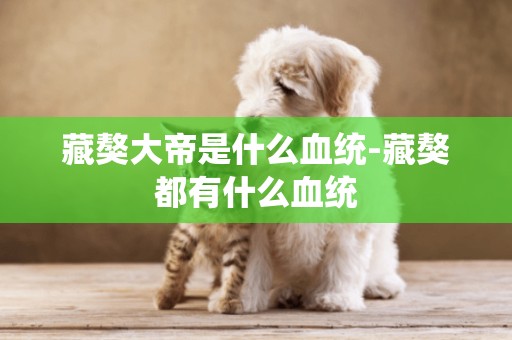藏獒大帝是什么血統-藏獒都有什么血統