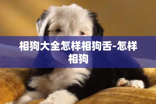 相狗大全怎樣相狗舌-怎樣相狗