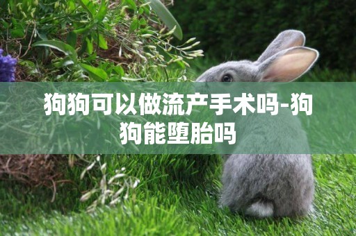 狗狗可以做流產手術嗎-狗狗能墮胎嗎