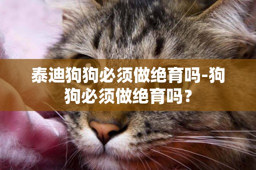 泰迪狗狗必須做絕育嗎-狗狗必須做絕育嗎？