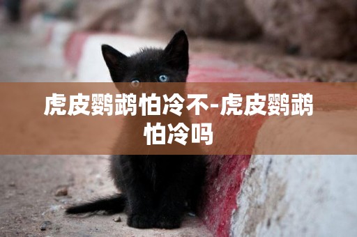 虎皮鸚鵡怕冷不-虎皮鸚鵡怕冷嗎