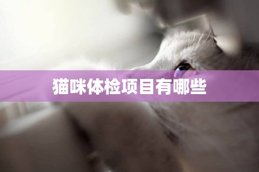 貓咪體檢項目有哪些