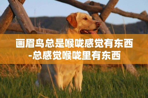 畫眉鳥總是喉嚨感覺有東西-總感覺喉嚨里有東西