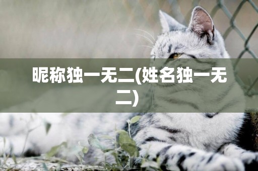 昵稱獨一無二(姓名獨一無二) 