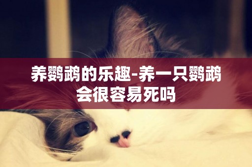 養鸚鵡的樂趣-養一只鸚鵡會很容易死嗎