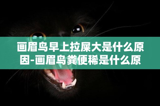 畫眉鳥早上拉屎大是什么原因-畫眉鳥糞便稀是什么原因?