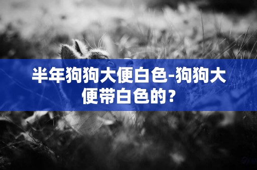 半年狗狗大便白色-狗狗大便帶白色的？