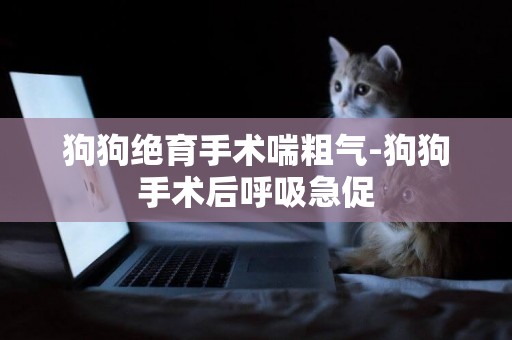 狗狗絕育手術喘粗氣-狗狗手術后呼吸急促