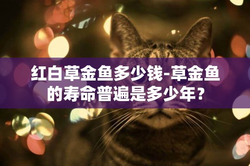紅白草金魚多少錢-草金魚的壽命普遍是多少年？