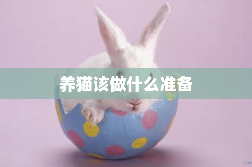 養貓該做什么準備