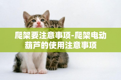 爬架要注意事項-爬架電動葫蘆的使用注意事項