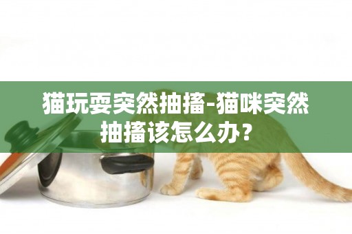 貓玩耍突然抽搐-貓咪突然抽搐該怎么辦？