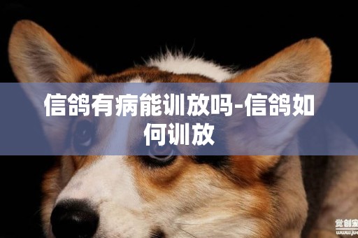 信鴿有病能訓放嗎-信鴿如何訓放