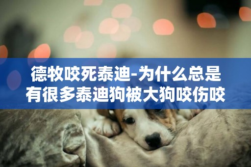 德牧咬死泰迪-為什么總是有很多泰迪狗被大狗咬傷咬死？是泰迪有什么獨特的氣質嗎？