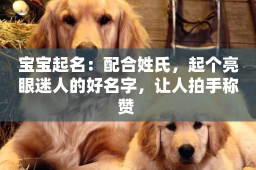 寶寶起名：配合姓氏，起個亮眼迷人的好名字，讓人拍手稱贊 