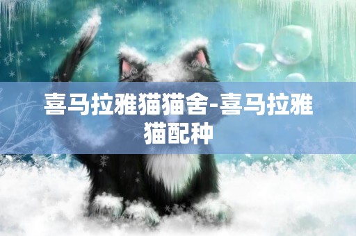 喜馬拉雅貓貓舍-喜馬拉雅貓配種