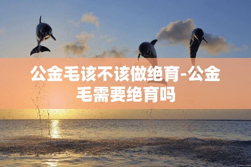 公金毛該不該做絕育-公金毛需要絕育嗎