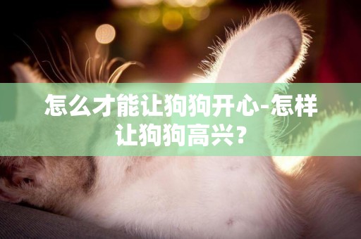 怎么才能讓狗狗開心-怎樣讓狗狗高興？