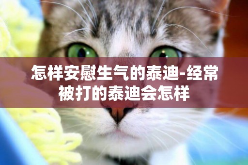 怎樣安慰生氣的泰迪-經常被打的泰迪會怎樣