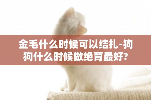 金毛什么時候可以結扎-狗狗什么時候做絕育最好?