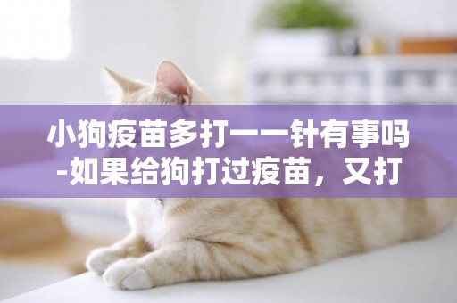 小狗疫苗多打一一針有事嗎-如果給狗打過疫苗，又打一次會有事嗎