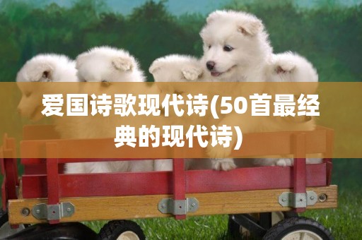 愛國詩歌現代詩(50首最經典的現代詩) 