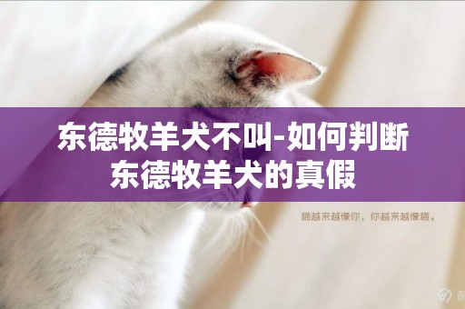 東德牧羊犬不叫-如何判斷東德牧羊犬的真假