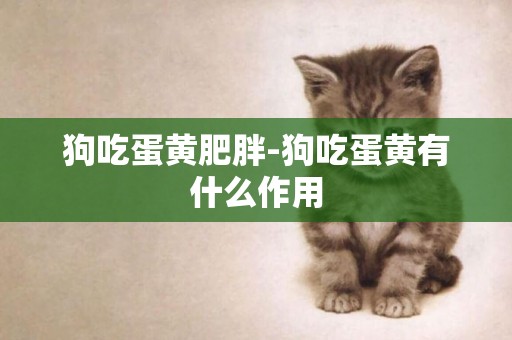 狗吃蛋黃肥胖-狗吃蛋黃有什么作用