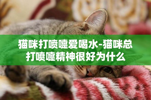 貓咪打噴嚏愛喝水-貓咪總打噴嚏精神很好為什么