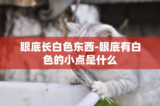 眼底長白色東西-眼底有白色的小點是什么