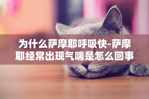 為什么薩摩耶呼吸快-薩摩耶經常出現氣喘是怎么回事