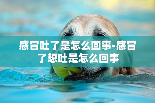 感冒吐了是怎么回事-感冒了想吐是怎么回事