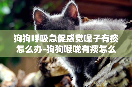 狗狗呼吸急促感覺嗓子有痰怎么辦-狗狗喉嚨有痰怎么辦