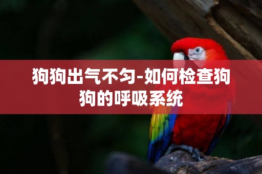 狗狗出氣不勻-如何檢查狗狗的呼吸系統