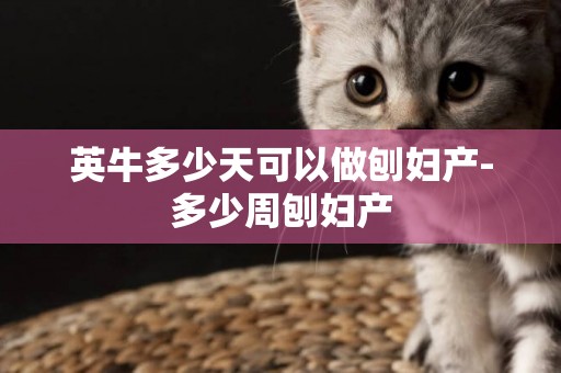 英牛多少天可以做刨婦產-多少周刨婦產