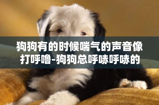 狗狗有的時候喘氣的聲音像打呼嚕-狗狗總呼哧呼哧的喘氣是怎么回事