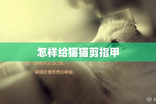 怎樣給貓貓剪指甲