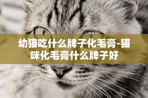 幼貓吃什么牌子化毛膏-貓咪化毛膏什么牌子好