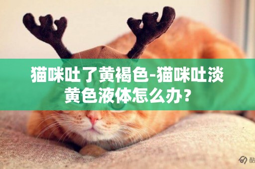 貓咪吐了黃褐色-貓咪吐淡黃色液體怎么辦？
