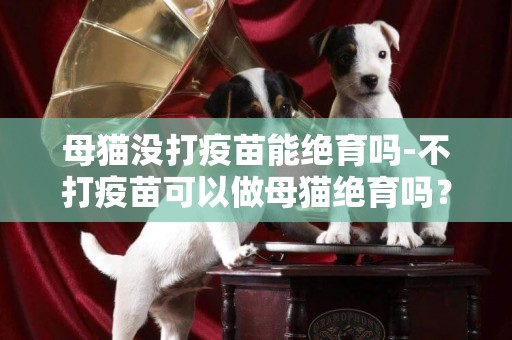 母貓沒打疫苗能絕育嗎-不打疫苗可以做母貓絕育嗎？