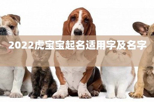 2022虎寶寶起名適用字及名字 