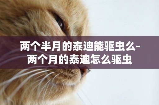 兩個半月的泰迪能驅蟲么-兩個月的泰迪怎么驅蟲