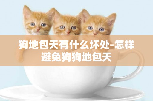 狗地包天有什么壞處-怎樣避免狗狗地包天