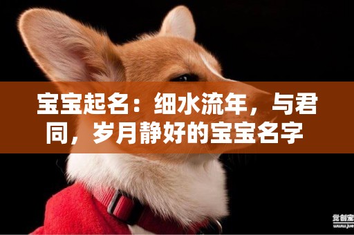 寶寶起名：細水流年，與君同，歲月靜好的寶寶名字 