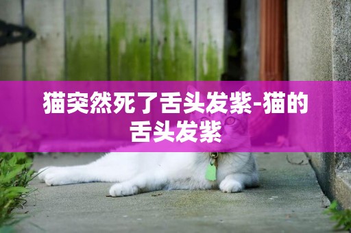 貓突然死了舌頭發紫-貓的舌頭發紫