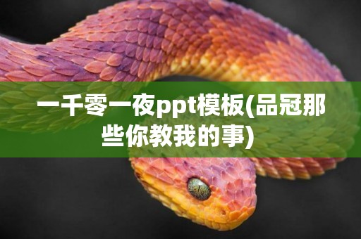 一千零一夜ppt模板(品冠那些你教我的事) 