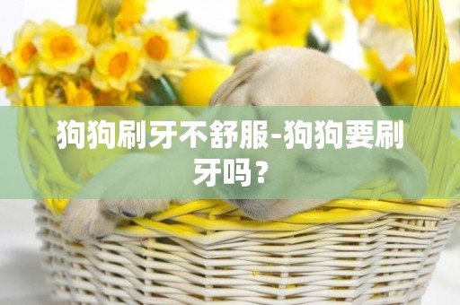 狗狗刷牙不舒服-狗狗要刷牙嗎？